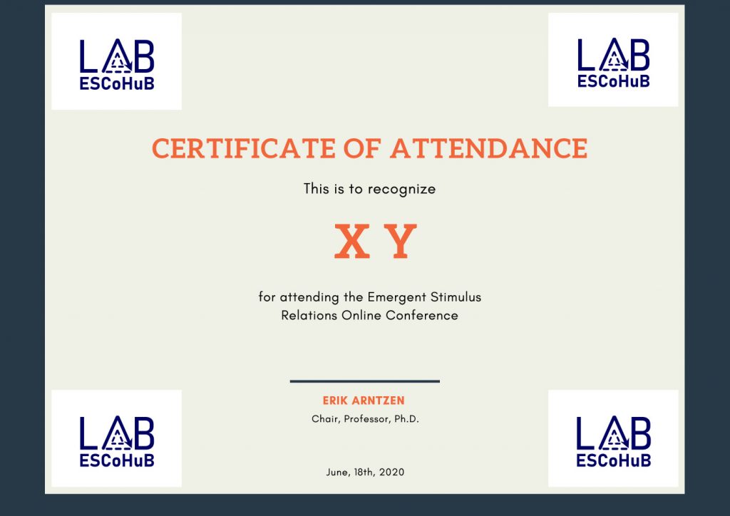 Certificate of participation at the mini-conference